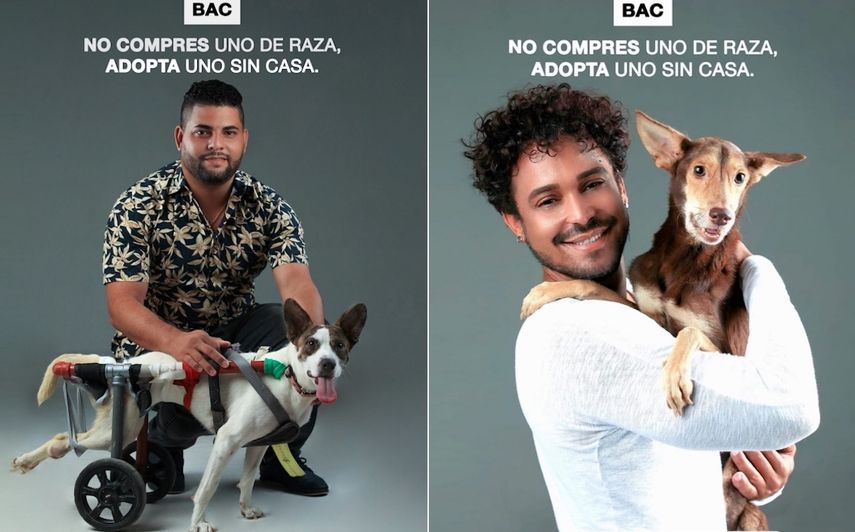 Imagenes de la campaña No compres uno de raza, adopta uno sin casa.&nbsp;