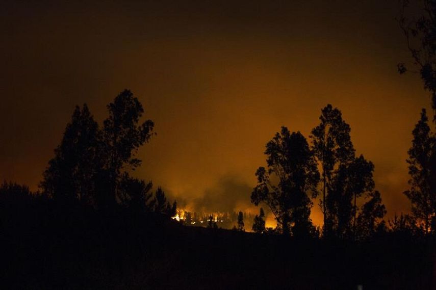 Más de 19 incendios se han registraron en diversas regiones de&nbsp;Chile.