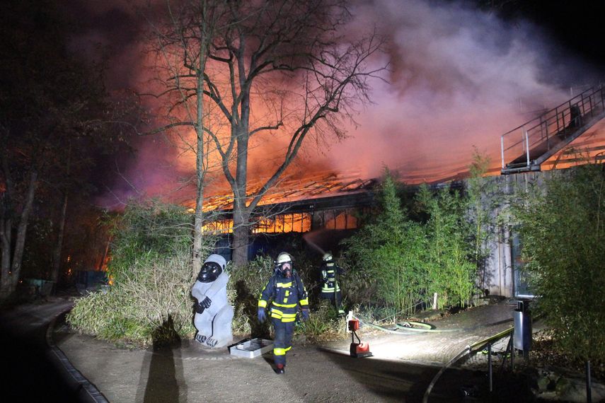 Bomberos frente al albergue de monos en llamas en el zool&oacute;gico Krefeld en Krefeld, Alemania, el mi&eacute;rcoles 1 de enero de 2020.&nbsp;