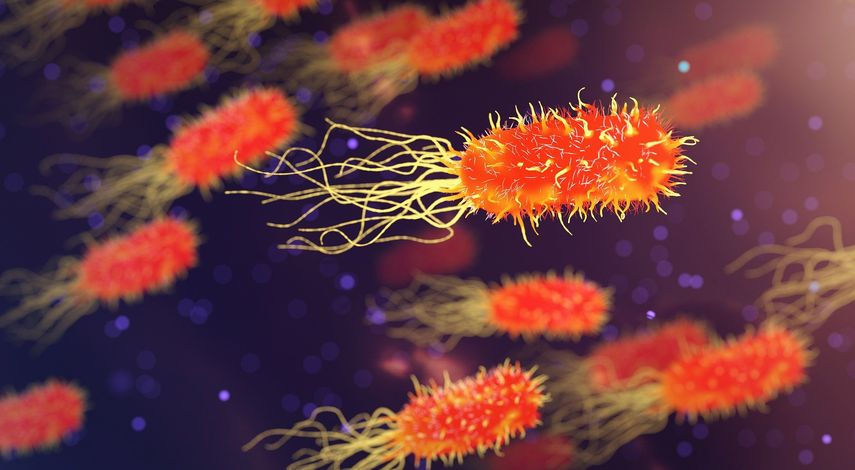 El fenómeno mundial de la resistencia antimicrobiana amenaza con destruir un siglo de progreso médico