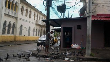 Un hombre da de comer a las palomas en una calle donde Gilberto Hernández, miembro del equipo nacional de fútbol de Panamá, fue asesinado a tiros en Colón, el lunes 4 de septiembre de 2023.
