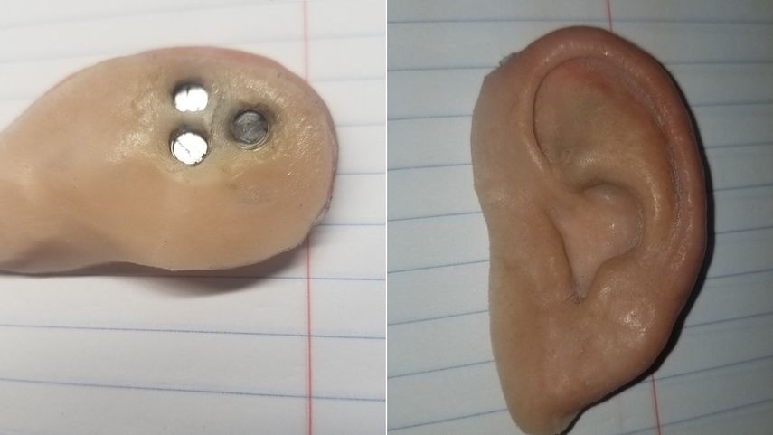 Fotografías de una oreja izquierda prostética hallada en la playa y publicadas en la cuenta de Twitter del Departmento de Policía de Holmes Beach.