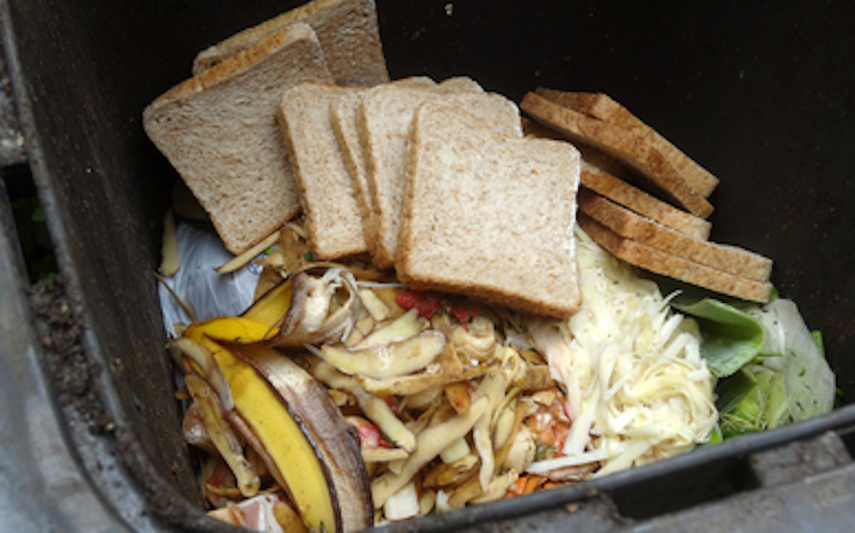 Todos los días se desperdician toneladas de comida.