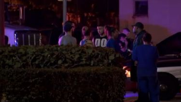 Javier Prado fue golpeado cerca de la calle 70 &nbsp;con 12 avenida en Hialeah, antes de las 11 de la noche, informaron las autoridades.&nbsp;