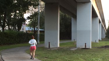 Vista parcial del actual sendero que corre debajo del Metrorail.