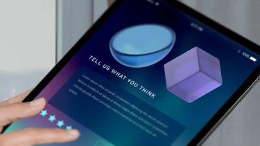 Una encuesta en línea