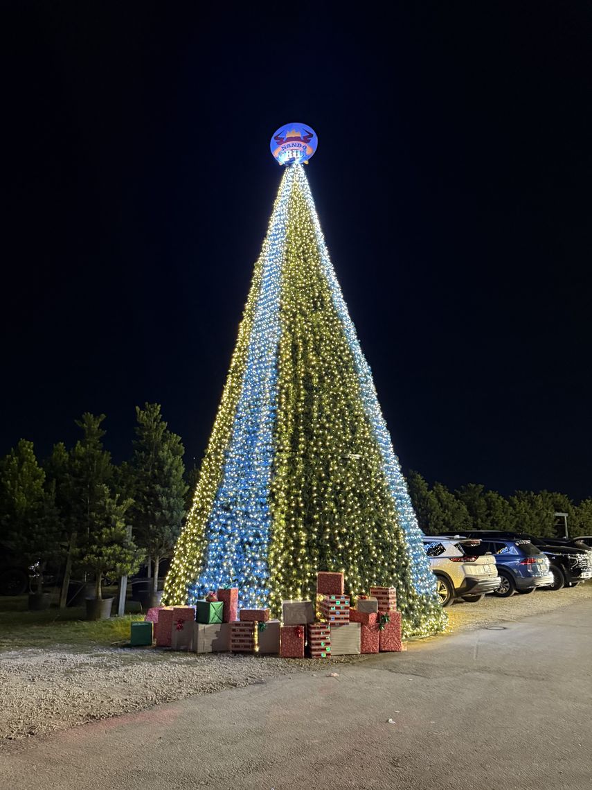 El árbol de Navidad encendido.&nbsp;