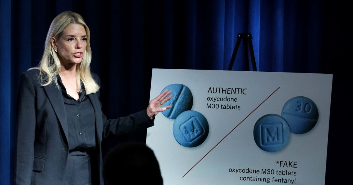 Secretaria de Justicia acusa a migrantes de hacer “el trabajo de los cárteles”