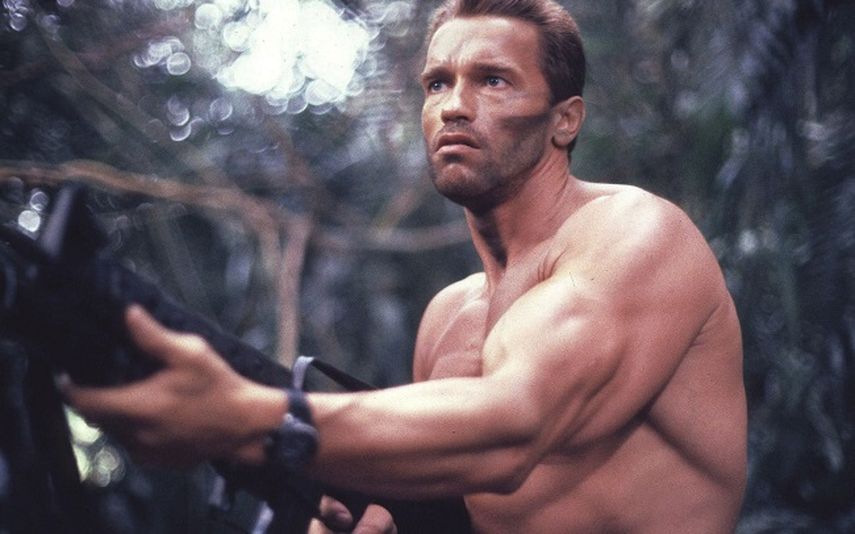 El actor estadounidense de origen austriaco Arnold Schwarzenegger. (CORTESÍA). 