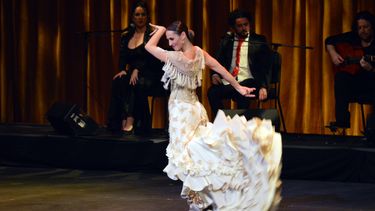 La bailaora de flamenco Siudy Garrido.&nbsp;