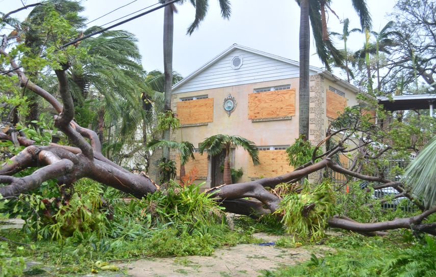La Policía del Condado Miami-Dade reportó numerosas detenciones por saqueos en inmuebles que fueron desalojados por el paso del huracán Irma.