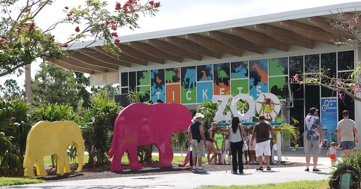 Zoo Miami inaugura “Wild Connection”, un entorno innovador para conectar con especies embajadoras