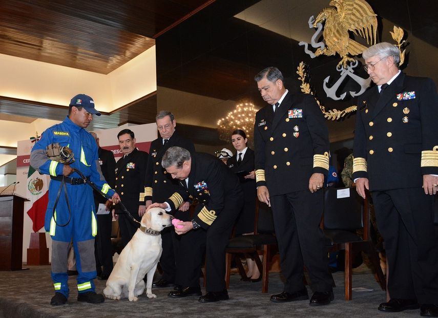 Fotografía cedida por la Secretaría de Marina, de la ceremonia de jubilación de Frida, una perra labradora, ícono del rescatismo en México.