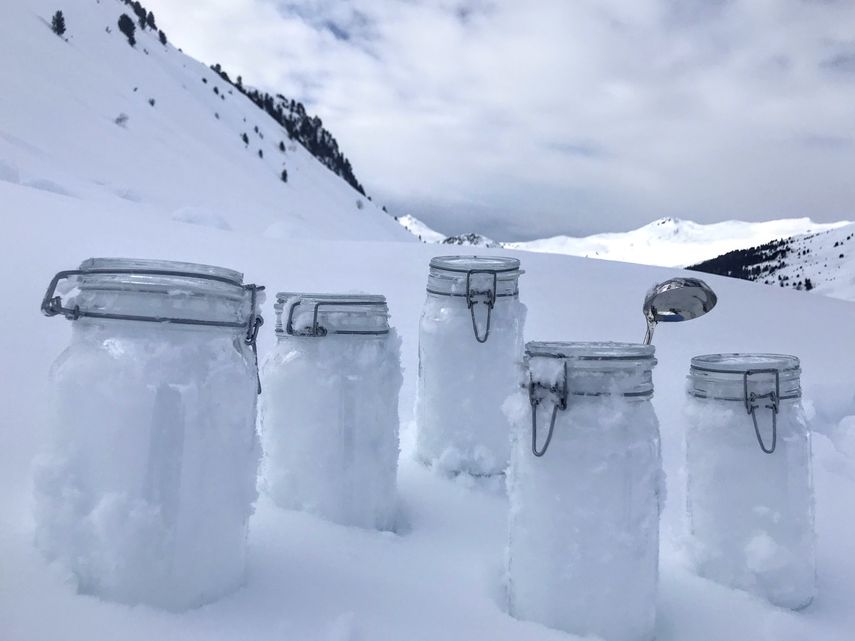 En esta foto sin fecha proporcionada por el Centro Helmholtz para Investigaciones de Osos Polares y Vida Marina, del Instituto Alfred Wegener, se ven muestras de nieve de Tschuggen, Suiza, listas para ser llevadas a Davos.&nbsp;