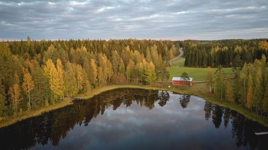 Imagen referencial de un bosque en Finlandia.&nbsp;