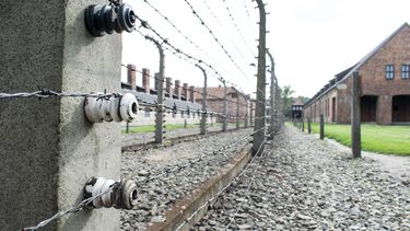 El 27 de enero es el Día Internacional de Conmemoración de las Vìctimas&nbsp;del Holocausto