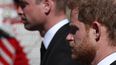 Los príncipes de Inglaterra, William y Harry, en el funeral de su abuelo, el príncipe Felipe.&nbsp;