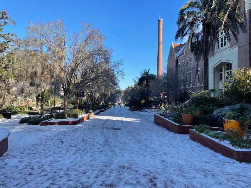 Nieve en la Universidad Estatal de Florida. 