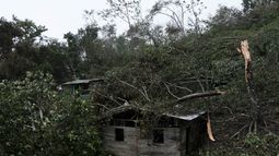 Las ramas de los árboles caídos cubren una casa después del paso del huracán Iota en Siuna, Nicaragua, el martes 17 de noviembre de 2020.