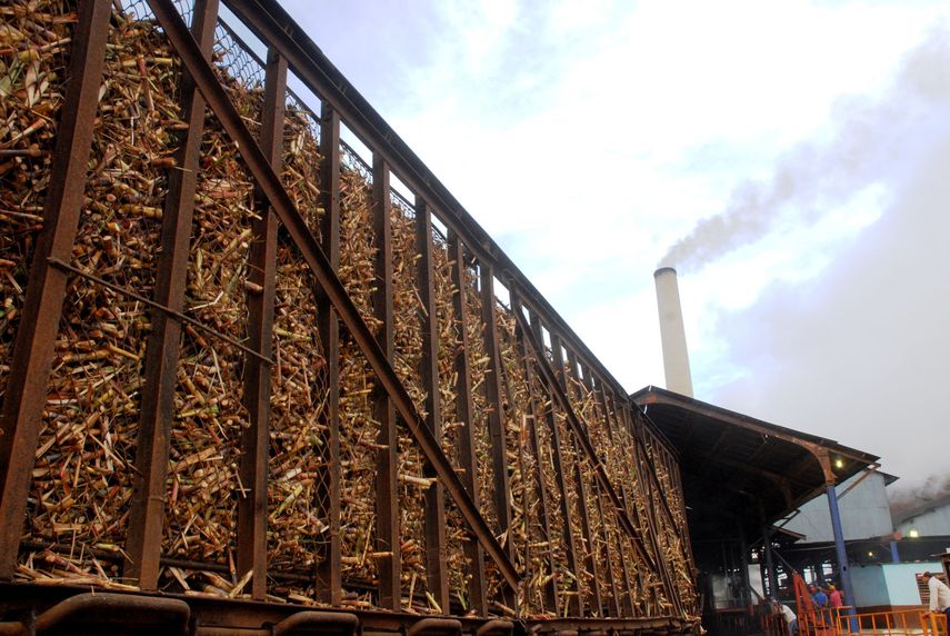 Caña de azúcar en Cuba