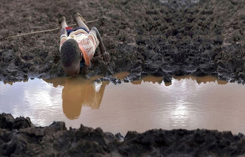 Está enfermedad, común en países tropicales de todo el mundo, tiene una tasa de mortalidad baja, sin embargo, resulta altamente incapacitante debido a las fiebres con que se manifiesta. (Archivo)