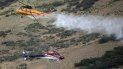 Estadounidense provoca incendio forestal al intentar quemar una araña