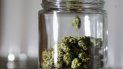 Un frasco con marihuana. Foto tomada el 22 de maro del 2019 en Egg Harbor Township, Nueva Jersey. Un frasco con marihuana. Foto tomada el 22 de maro del 2019 en Egg Harbor Township, Nueva Jersey.