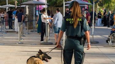 La Guardia Civil participó en el operativo sntinarcótico en españa (X Guardia Civil)