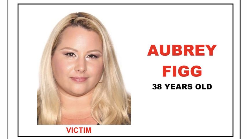 Fotograf&iacute;a de&nbsp;Aubrey Figg facilitada por la Polic&iacute;a de Miami Beach, que investiga su muerte.