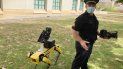 El teniente de la policía de Honolulu, Joseph ONeal, demuestra un perro robot en Honolulu, 14 de mayo de 2021. Los agentes que utilizan de manera experimental las máquinas de cuatro patas dicen que son una herramienta más, como los drones, para evitar que los socorristas corran peligro en situaciones de emergencia. El teniente de la policía de Honolulu, Joseph ONeal, demuestra un perro robot en Honolulu, 14 de mayo de 2021. Los agentes que utilizan de manera experimental las máquinas de cuatro patas dicen que son una herramienta más, como los drones, para evitar que los socorristas corran peligro en situaciones de emergencia.