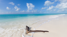 Régimen castrista cede a empresa canadiense un pedacito de Cuba