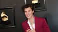 Shawn Mendes en la entrega 62 de los Grammy Awards en Los Ángeles.&nbsp;