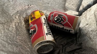 Esta fotografía tomada el 19 de julio de 2019 y publicada por el Museo LAM el 7 de octubre de 2024 muestra la obra de arte Todos los buenos tiempos que pasamos juntos del artista francés Alexandre Lavet desplegada en el Museo de Arte Lisser LAM, en Lisse.