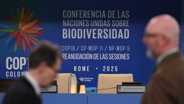 Los delegados llegan a la sala plenaria para asistir a la conferencia sobre biodiversidad COP16 en la sede de la Organización de las Naciones Unidas para la Alimentación y la Agricultura (FAO) en Roma, el 25 de febrero de 2025. 
