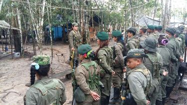 Algunos integrantes de las FARC aún no saben cómo se reintegrarán a la vida civil.