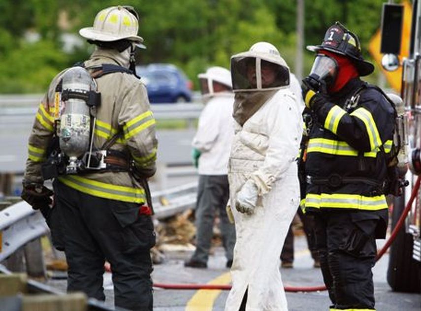 Personal de emergencia con abejas sobre sus uniformes después que un tractocamión se volcó y unos 20 millones de abejas quedaron liberadas cerca de Newark, Delaware (Foto AP)