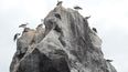 islas galapagos, una aventura inolvidable