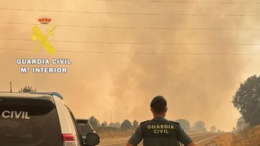 Agentes durante el incendio en las proximidades de Guardo (Palencia).      