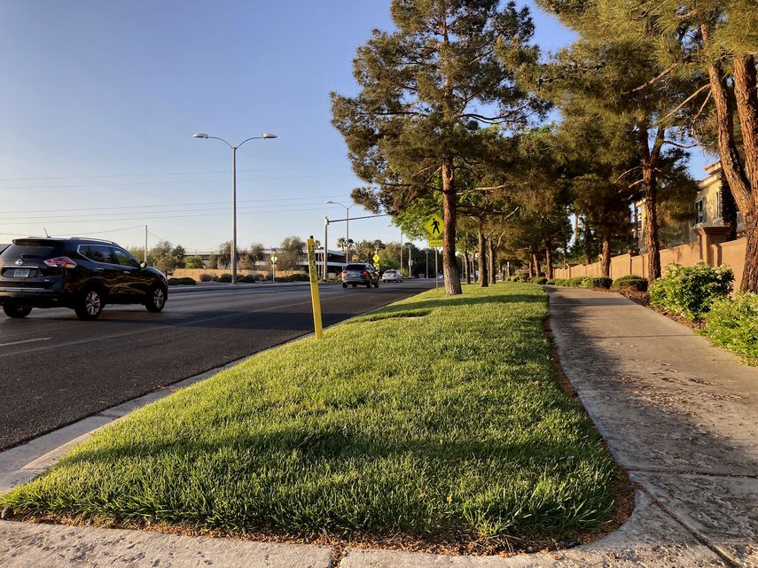 Tramo verde junto a la carretera Green Valley Parkway en foto del 9 de abril del 2021 en Henderson, un suburbio de Las Vegas. Las autoridades analizan una propuesta de eliminar el césped decorativo de espacios como este para ahorrar agua.&nbsp;