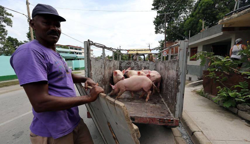 En la ciudad de Guantánamo, en Cuba, un residente se prepara para el paso del huracán Mathew.