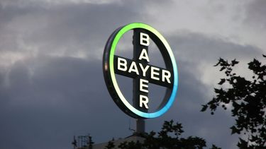 Laboratorio Bayer.&nbsp;