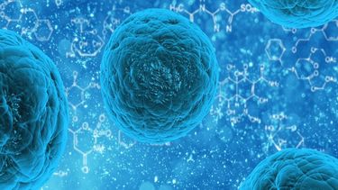 Referencia de un proceso bacteriano