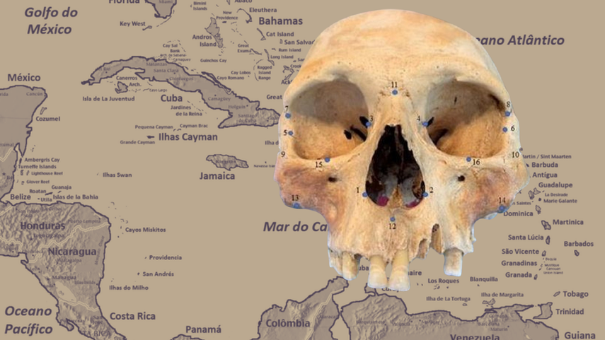 A pesar de un registro arqueológico en el Caribe que incluye bastantes restos óseos, no hay evidencia de ningún tipo de canibalismo