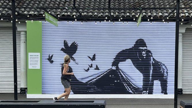 Una corredora pasa frente a una reproducción de un mural de Banksy afuera del Zoológico de Londres, el domingo 18 de agosto de 2024.&nbsp;