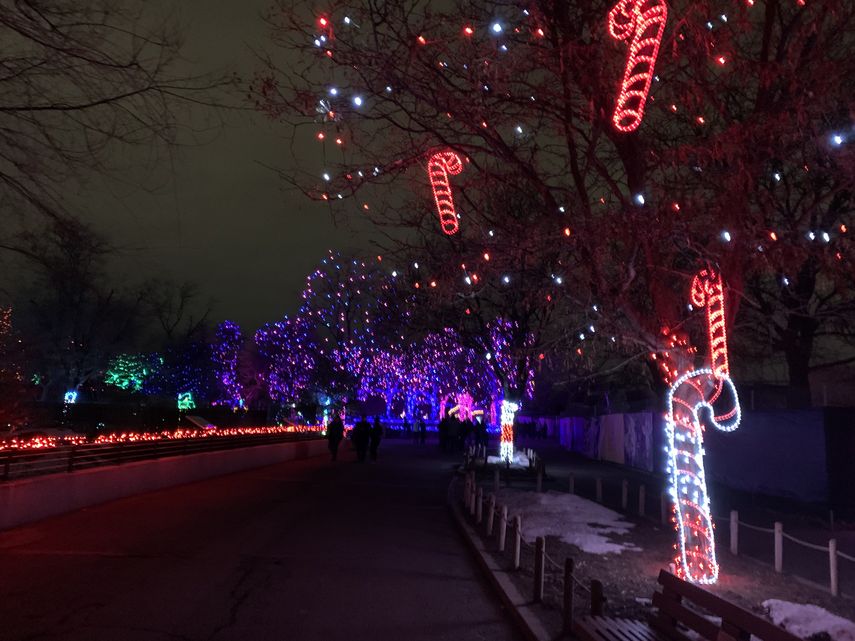 Más de 2 millones de luces en el zoológico de Denver.