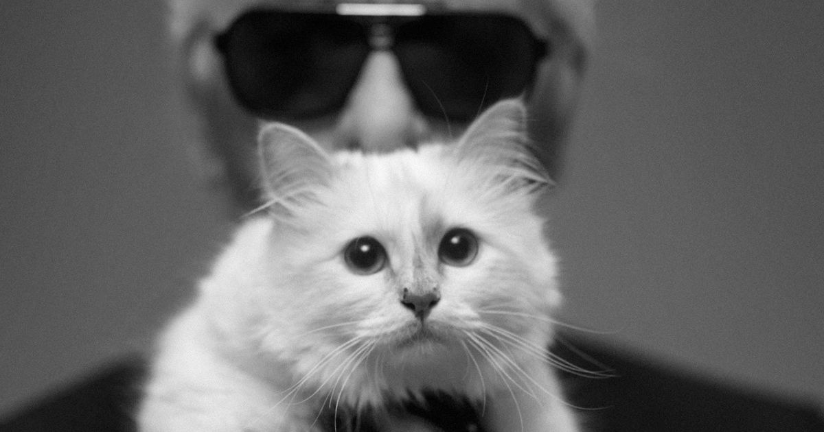 policía Bebida Paralizar Irá la herencia de Karl Lagerfeld a su gata?