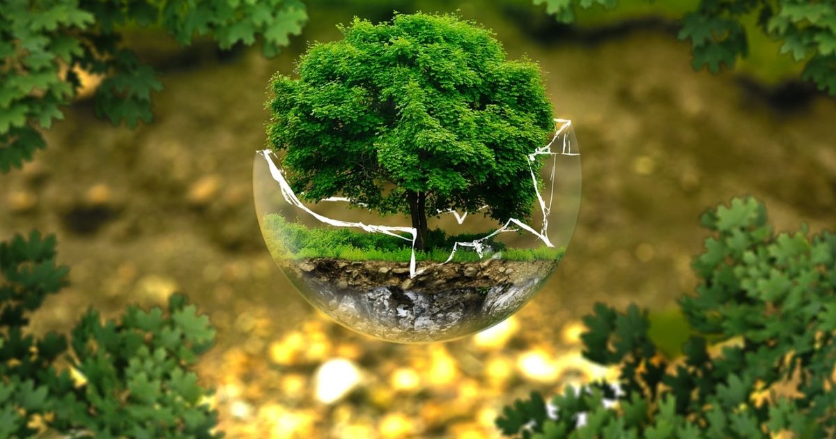 La región Caribe necesita liderazgo empresarial con conciencia ambiental