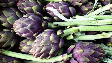 Se puede consumir en ricas ensaladas, en arroz con alcachofa, tiras de pollo y almendras, o rehogadas con jamón y huevos. Acompañada de una copa de vino, es una estupenda cena.