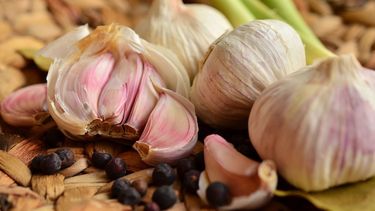 Cultivar ajo en el hogar se ha convertido en una tendencia en Estados Unidos.&nbsp;