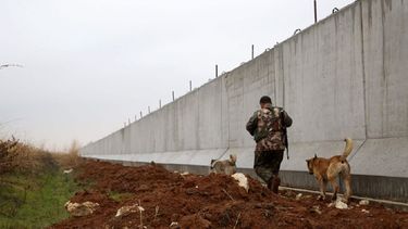 El muro mide unos 556 kilómetros.